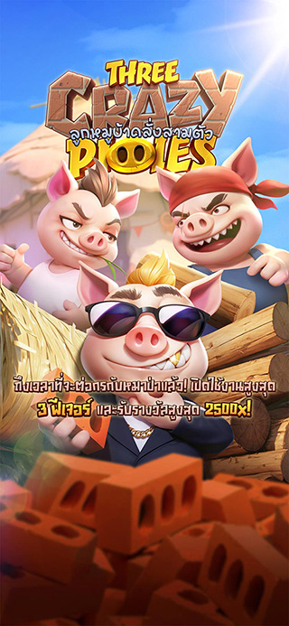 Three Crazy Piggies ทดลองเล่นฟรี
