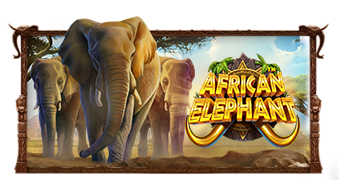 African Elephant ทดลองเล่นฟรี