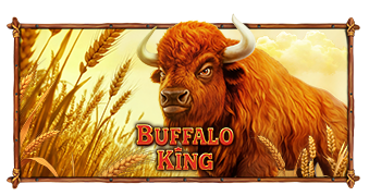 Buffalo King ทดลองเล่นฟรี